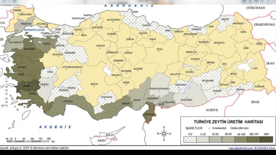 Trkiye'de En ok Zeytin reten ehirler Belli Oldu!