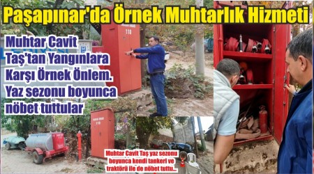 Paapnarda rnek Muhtarlk Hizmeti