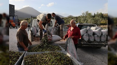 Zeytin reticisi zeytin kadar gl olmaldr