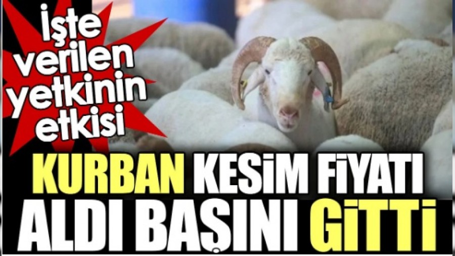 Kurban kesim fiyat ald ban gitti. te verilen yetkinin etkisi