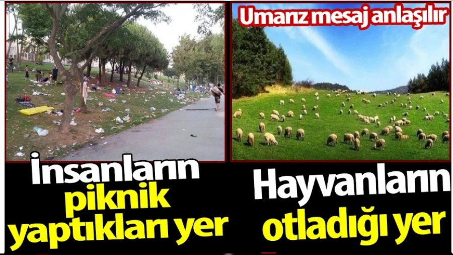 nsanlarn piknik yaptklar yer ile hayvanlarn otlad yerin fark.  Umarz mesaj anlalr