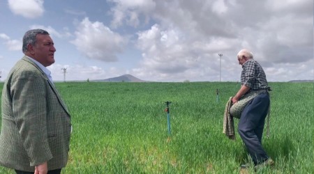 �n�aat tar�m� ikiye katlad�