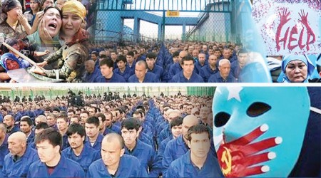 in in Trklk Neden Tehlike?