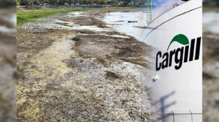 Gnden gne kuruyan znik Gl iin Cargill yine gndemde! Ylda 1 Milyon Metrekp su.